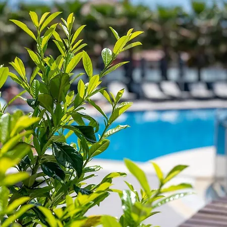 Hotel Dionysos & Hanioti