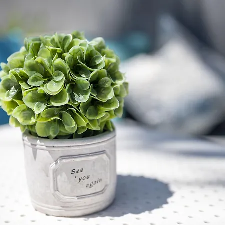 Dionysos & Hotel Hanioti