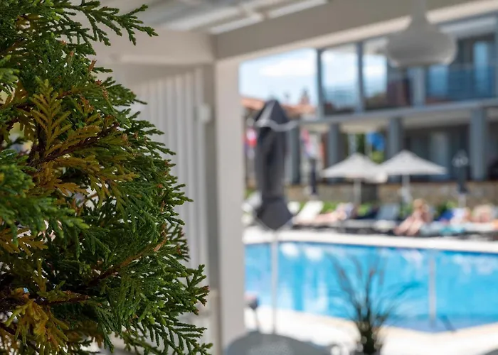 Otel Dionysos &