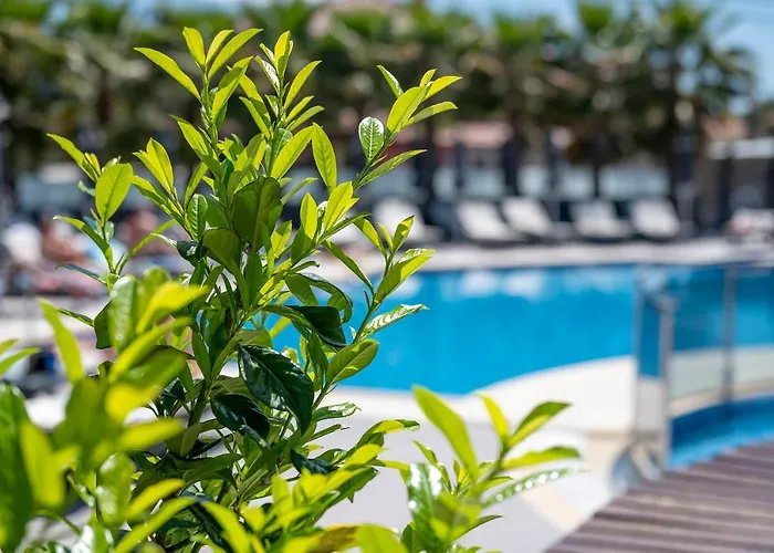 Hotel Dionysos & Hanioti