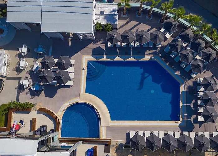 Dionysos & Otel