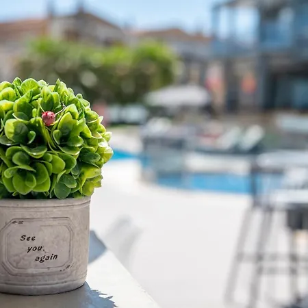 ホテル Dionysos & ハニオティス