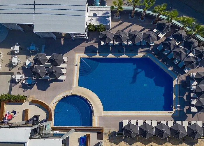 Dionysos & 3* Chaniotis